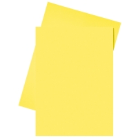 Esselte Carpeta de papel amarillo A4 | 250 unidades 2103406 203584