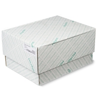 Rillstab 17913 Papel continuo | 1 pliegue | 380x11 | verde | 2.000 hojas (60 g) 17913 068024